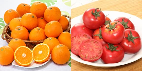 果物・野菜はこちら