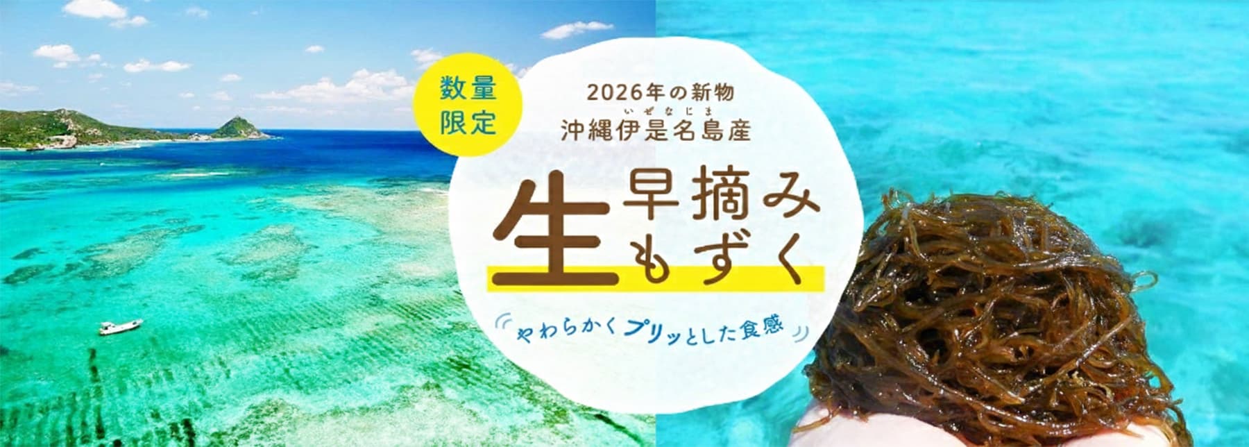 沖縄伊是名島早摘み生もずく