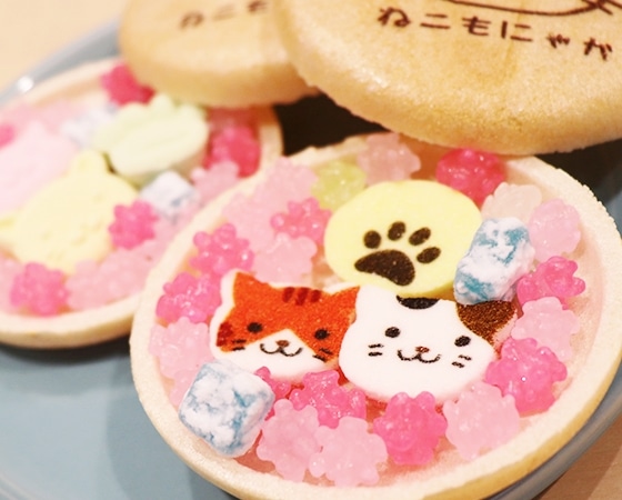 プレミアムな水・もの・暮らし |京都の半生菓子 上尾製菓のねこもにゃ