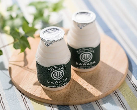 プレミアムな水・もの・暮らし |川場のむヨーグルト（150ml×16本