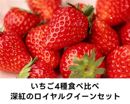 プレミアムな水・もの・暮らし |【予約】いちご食べ比べ4種 ロイヤル