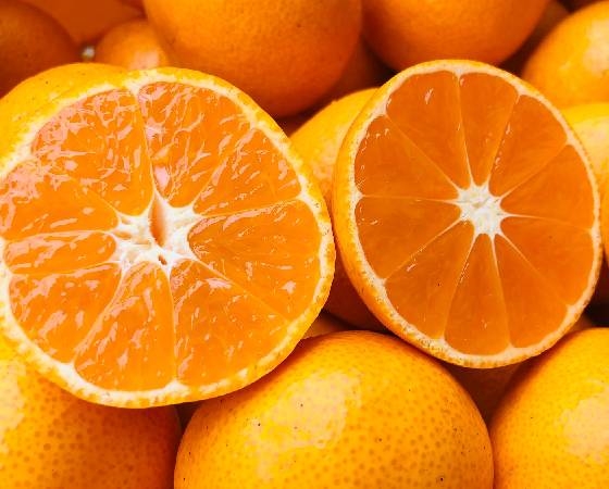 プレミアムな水・もの・暮らし |早生みかん 3kg【みかんのみっちゃん