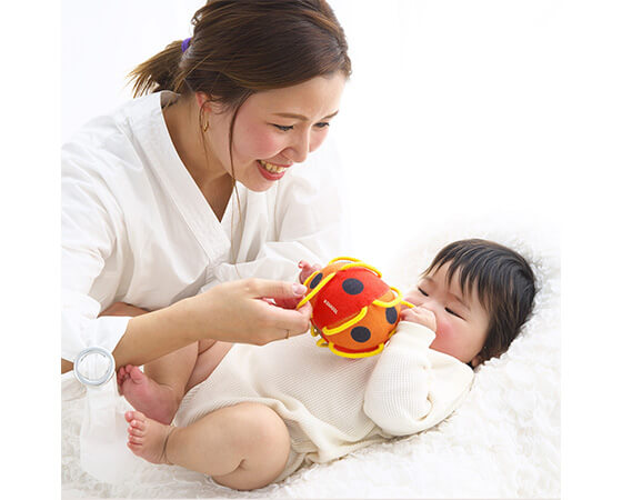 プレミアムな水・もの・暮らし |わっかボールミニ てんとうむし