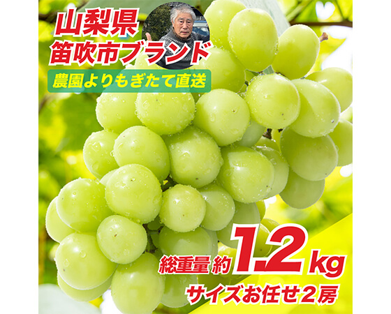 プレミアムな水・もの・暮らし |【予約】山梨県笛吹市産 プレミアムな水・もの・暮らし |【予約】山梨県笛吹市産